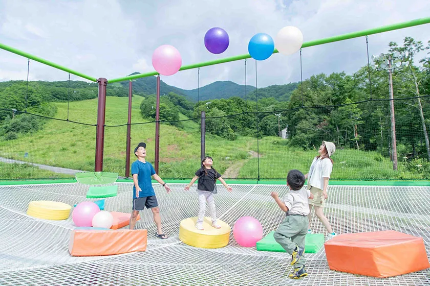 アミダス
