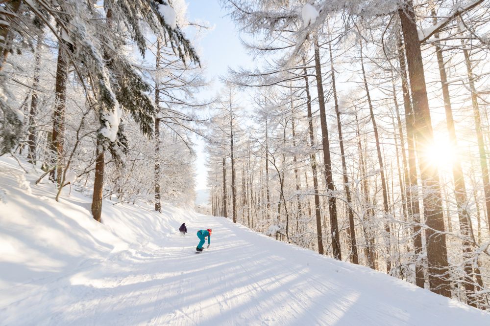 日本第２位のコース数