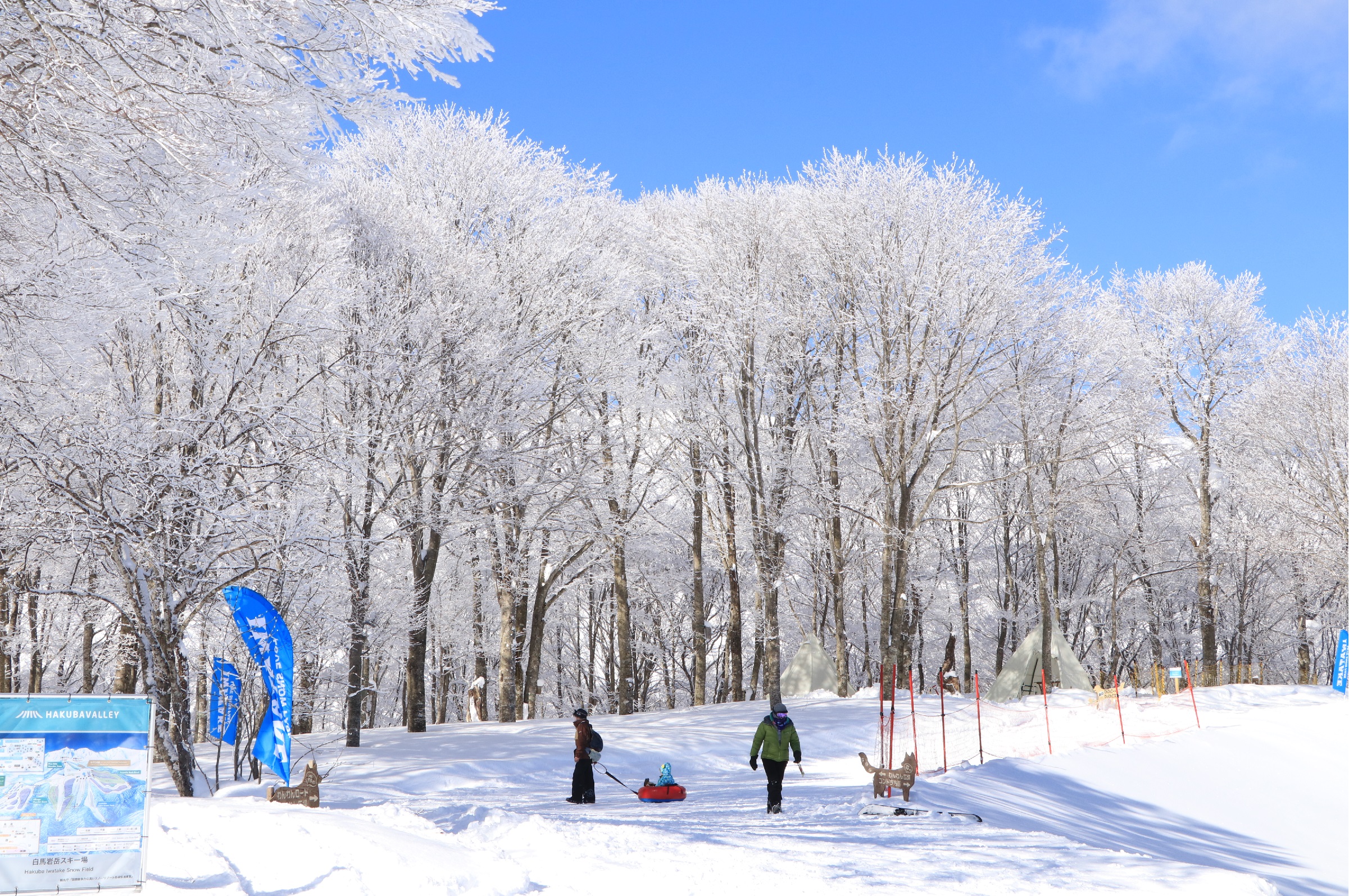 白馬岩岳スノーフィールド – 子供と一緒に雪山へ行こうNSDキッズプログラム